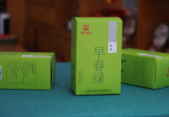 蒲門茶業(yè) · 早春綠茶