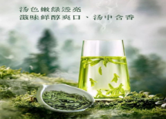 蒲門茶業(yè) · 早春綠茶