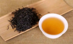 龍潤 · 景邁山古樹曬紅